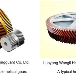 Double helical gear and herringbone gear