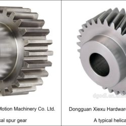 Spur gear and helical gear