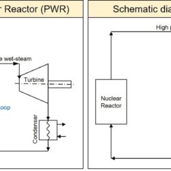 Differences between pressurized water reactor and boiling water reactor