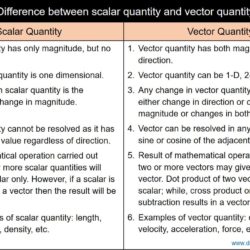 Difference between scalar and vector